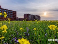 南開師范大學(xué)津南校區(qū)2023年學(xué)費、收費多少