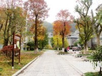 吉首師范大學(xué)張家界學(xué)院2023年學(xué)費、收費多少