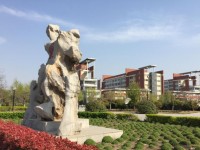 河南大學師范學院金明校區(qū)2023年招生錄取分數線