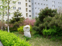 涿州幼師技師學院2023年學費、收費多少