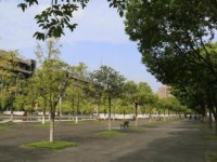 四川大學師范學院江安校區(qū)2023年學費、收費多少