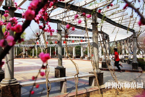 延安大學師范學院馬家灣校區(qū)招生辦聯(lián)系電話