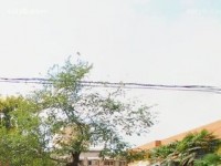 西安職業(yè)中等幼師專(zhuān)業(yè)學(xué)校2023年報(bào)名條件、招生要求、招生對(duì)象