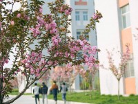 渭南職業(yè)技術(shù)師范學(xué)院朝陽校區(qū)2023年學(xué)費(fèi)、收費(fèi)多少