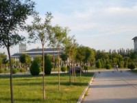 寧夏民族職業(yè)技術師范學院歷年招生錄取分數線