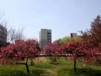 漯河職業(yè)技術(shù)師范學(xué)院2023年學(xué)費(fèi)、收費(fèi)多少