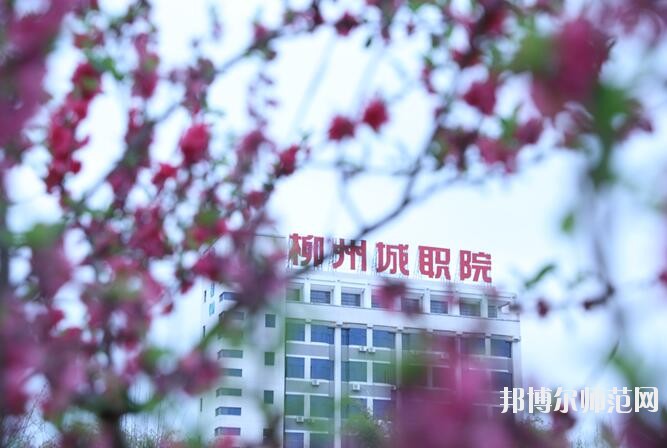 柳州城市職業(yè)師范學院是幾專