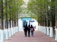 內蒙古豐州職業(yè)師范學院2023年學費、收費多少