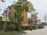 貴陽中華幼師職業(yè)學(xué)校2023年招生簡(jiǎn)章