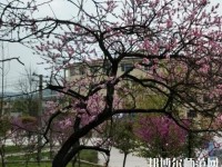 貴陽(yáng)中華幼師職業(yè)學(xué)校2023年怎么樣、好不好