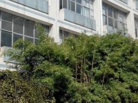 貴州貴陽(yáng)中山科技幼兒師范學(xué)校2023年學(xué)費(fèi)、收費(fèi)多少