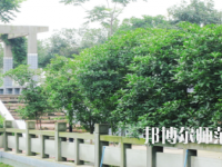 德陽通用電子科技幼兒師范學(xué)校2021年報名條件、招生要求、招生對象