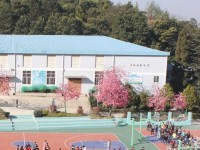 云南林業(yè)幼兒師范高級(jí)技工學(xué)校2023年學(xué)費(fèi)、收費(fèi)多少