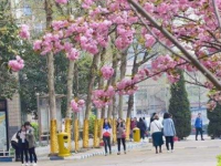 石家莊法商幼兒師范中等專業(yè)學(xué)校2023年學(xué)費、收費多少