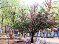 石家莊法商幼兒師范中等專業(yè)學(xué)校2023年報(bào)名條件、招生要求、招生對(duì)象