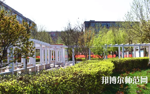 石家莊法商幼兒師范中等專(zhuān)業(yè)學(xué)校2020年有哪些專(zhuān)業(yè) 