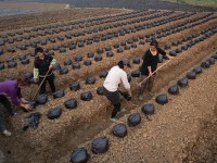 四川興文縣職業(yè)技術幼兒師范學校2023年地址在哪里