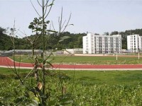 四川幼兒師范高等?？茖W校2023年招生簡章