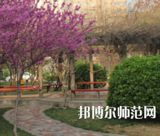 鄭州2020年幼師學(xué)?？梢詫W(xué)什么