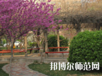 鄭州2020年幼師學(xué)?？梢詫W(xué)什么