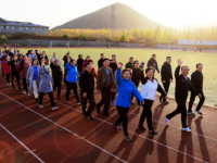 石家莊幼兒師范高等?？茖W(xué)校歷年招生錄取分?jǐn)?shù)線