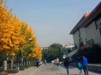 西北師范大學(xué)歷年招生錄取分數(shù)線