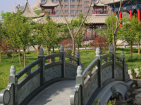 蘭州職業(yè)技術(shù)師范學(xué)院桃林校區(qū)2023年怎么樣、好不好