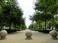 廣西現(xiàn)代職業(yè)技術(shù)師范學(xué)院2023年報名條件、招生要求、招生對象