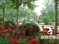河南科技職業(yè)師范大學2023年報名條件、招生要求、招生對象