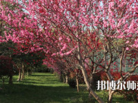 河南科技職業(yè)師范大學2023年怎么樣、好不好