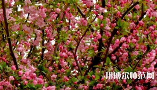 鄭州大學(xué)師范學(xué)院南校區(qū)2023年怎么樣、好不好