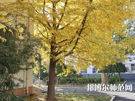 北京京北職業(yè)師范技術(shù)學院2023年報名條件、招生要求、招生對象