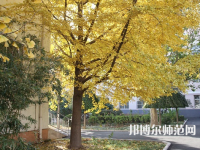 北京京北職業(yè)師范技術學院2023年報名條件、招生要求、招生對象