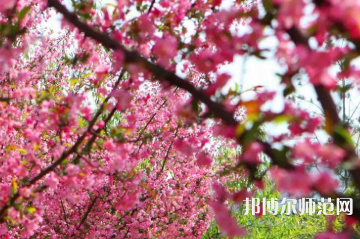 鄭州大學師范學院主校區(qū)2023年報名條件、招生要求、招生對象