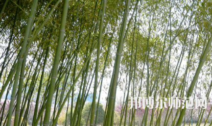 周口職業(yè)技術(shù)師范學(xué)院開元校區(qū)2023年報(bào)名條件、招生要求、招生對(duì)象