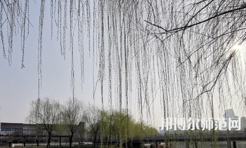 鶴壁職業(yè)技術師范學院2023年怎么樣、好不好