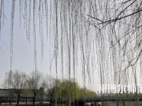 鶴壁職業(yè)技術師范學院2023年怎么樣、好不好