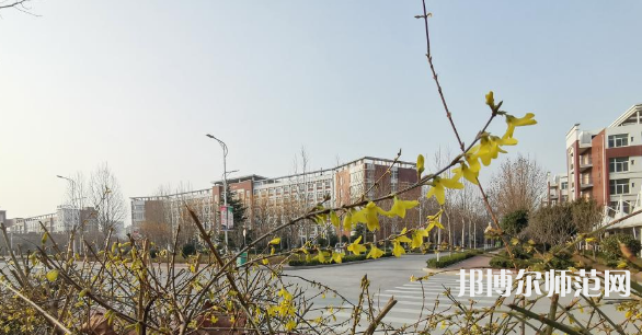 鶴壁職業(yè)技術(shù)師范學(xué)院2023年報(bào)名條件、招生要求、招生對(duì)象