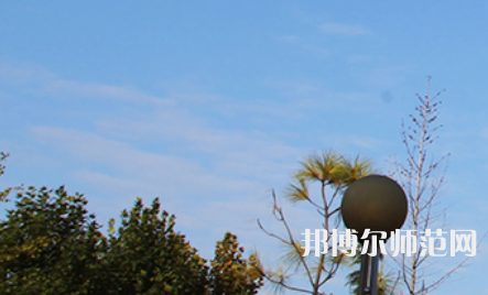 濮陽職業(yè)技術師范學院2023年招生計劃