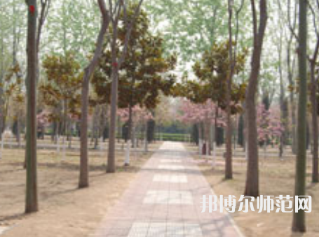 濮陽職業(yè)技術師范學院2023年報名條件、招生要求、招生對象
