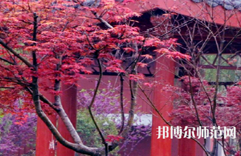 駐馬店師范職業(yè)技術(shù)學(xué)院2023年怎么樣、好不好