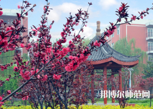 駐馬店師范職業(yè)技術(shù)學(xué)院2023年報(bào)名條件、招生要求、招生對象