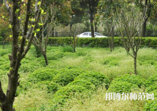 駐馬店師范職業(yè)技術(shù)學(xué)院2023年報(bào)名條件、招生要求、招生對象