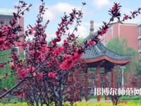 駐馬店師范職業(yè)技術(shù)學(xué)院2023年報(bào)名條件、招生要求、招生對(duì)象