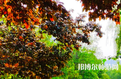 河南大學(xué)師范學(xué)院金明校區(qū)2023年怎么樣、好不好