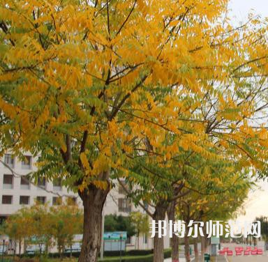 榆林職業(yè)技術(shù)師范學(xué)院2023年怎么樣、好不好