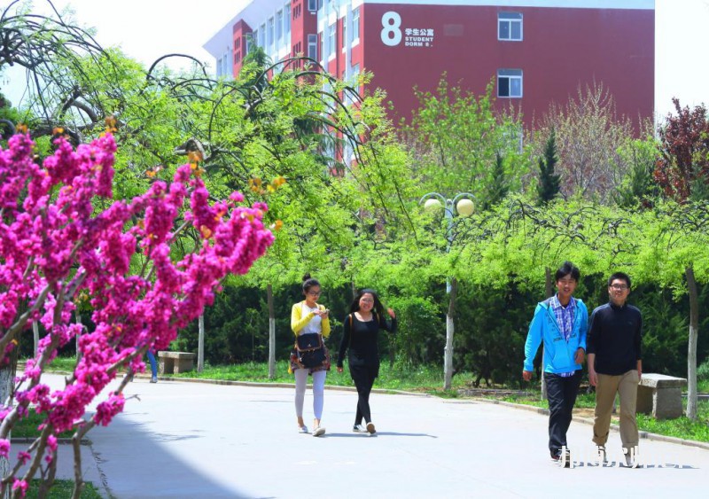 青島職業(yè)技術師范學院2023年排名