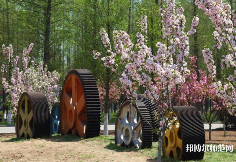青島職業(yè)技術(shù)師范學院2023年招生錄取分數(shù)線