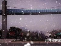 溫州師范大學(xué)茶山校區(qū)2023年學(xué)費(fèi)、收費(fèi)多少