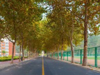 聊城師范大學(xué)東昌學(xué)院2023年報名條件、招生要求、招生對象